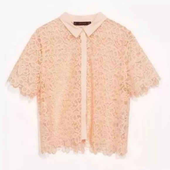 ZARA Guipure Lace Button Up Blouse - Picture 3 of 3